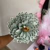 luxury_surprise_decor