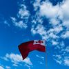 windy_676