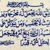 salibacha