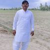 asifbhatti6374