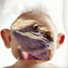symimsteve