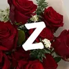 zarsid29