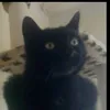 blackbagira1