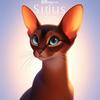 abyssinian_sirius