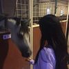 afrah_94i