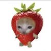 frostthebunny14