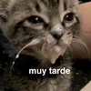 fran.pggg