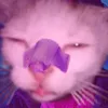 oguzok_123457