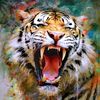 ressam.naxcivan