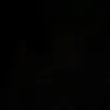 buwung_puyuh24