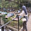 _dwita09