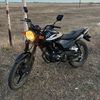 adel.767
