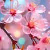 dilya_30986