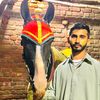 manigujjar9460