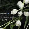 mienbong.11
