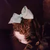 Phoebe