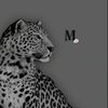 mimo_sy7899