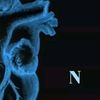 nur123