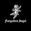 forgottenangel.usa