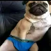 abdurb18