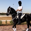 🐎كحيلان هورس🐎