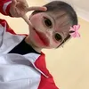 ltnanh041206