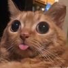 blep6969