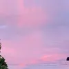 somethibg_new