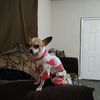 mccoymakayla2