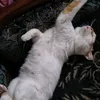 sishuza