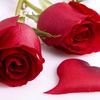 wahida_m.h