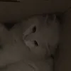 meokhaunghiepday