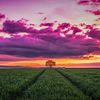 zahid_.38