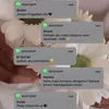 desi_am29