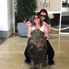 lizdickson7