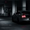 solo.stang