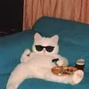 meowliciouus