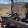 carsonwolf49