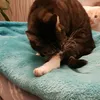 kawamatze