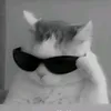 jeyhandiayhihi