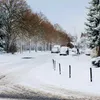 mm552924046