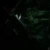 krost_13
