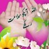 user290641169