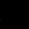 urfavoritenight7_
