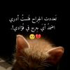 user3096151633065