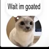 lav_zhabga