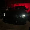 murdastang
