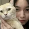 dumpndsheets