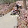 theswampfish_