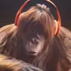 mackemboiii